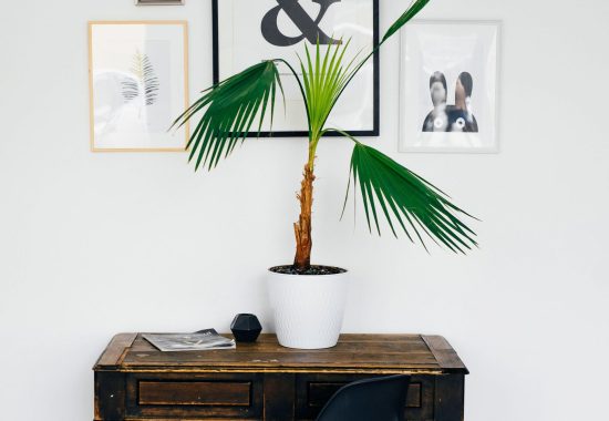 alexandra-gorn-1mPkRa-qM_U-unsplash