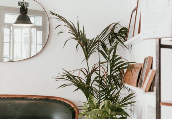 marten-bjork-F68K6buOR2s-unsplash